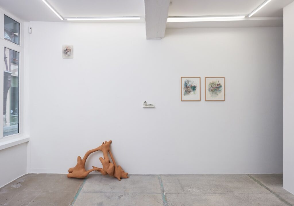 Talweg, a solo exhibition by Céline Le Guillou