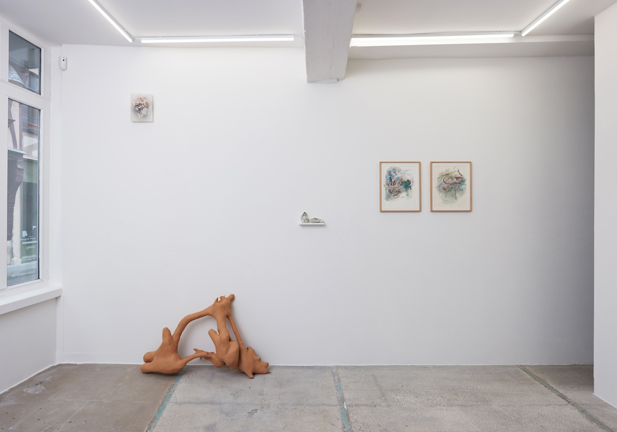 Talweg, a solo exhibition by Céline Le Guillou