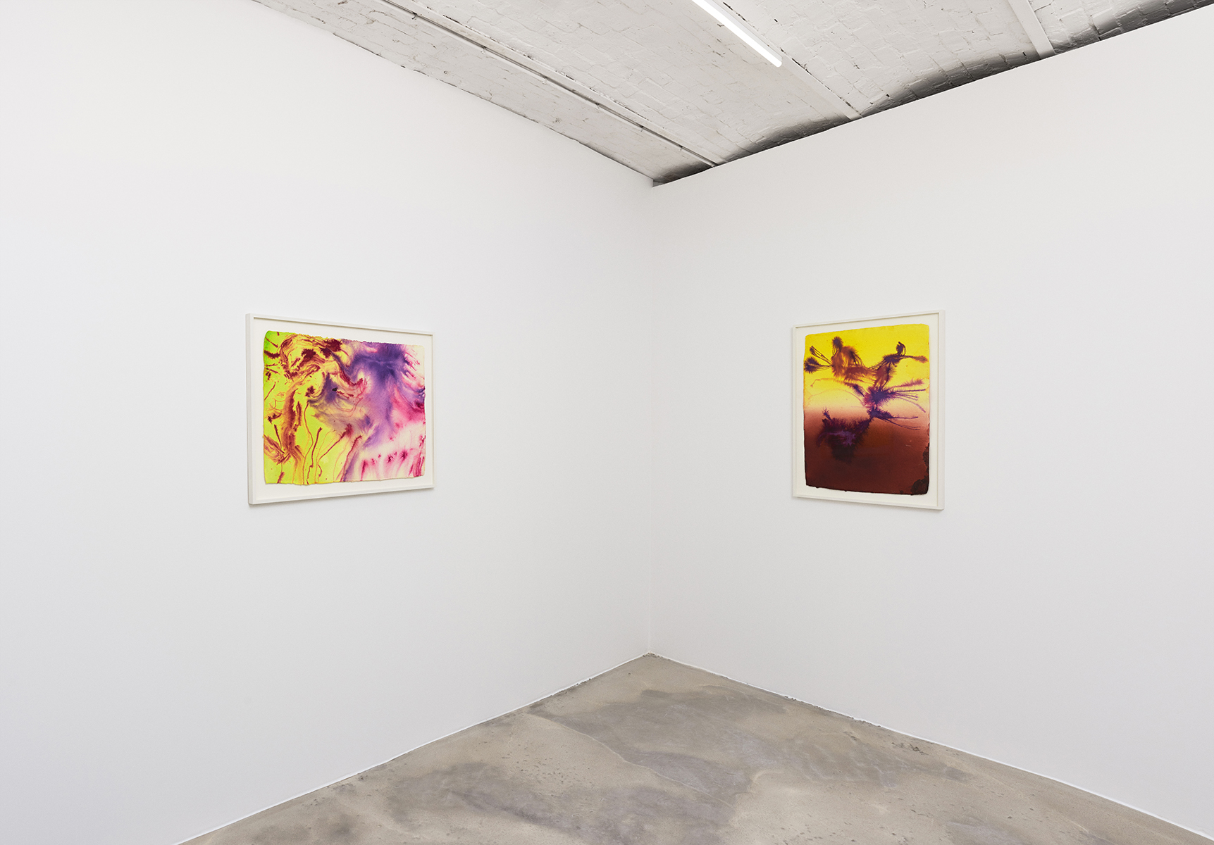 19_DR_Certain circumstance Selected Flowers_Panis_©FredMargueron_2024_ctx_web