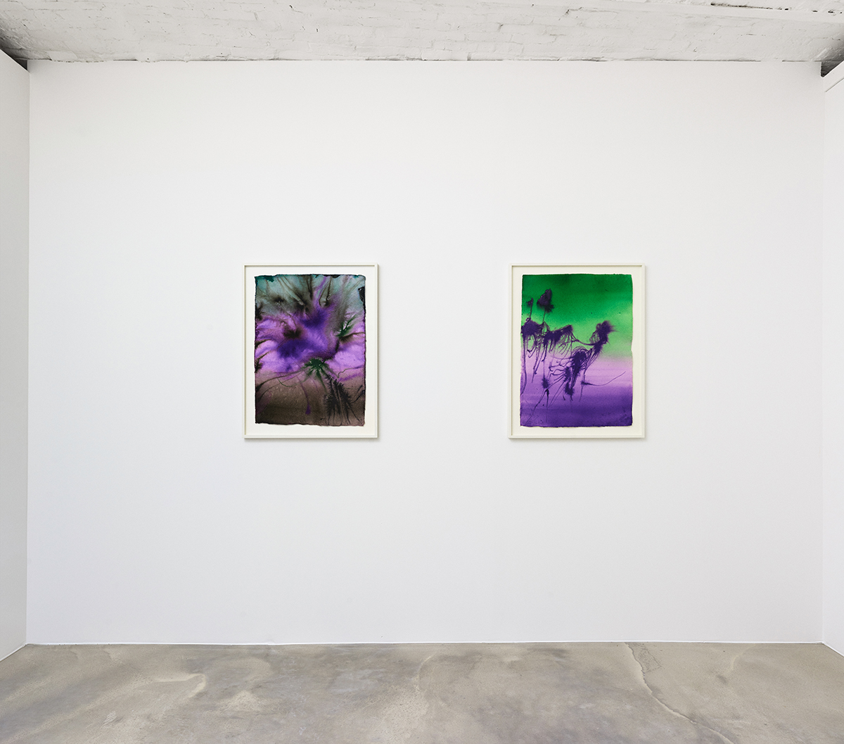 20_DR_Certain circumstance Selected Flowers_Panis_©FredMargueron_2024_ct_web