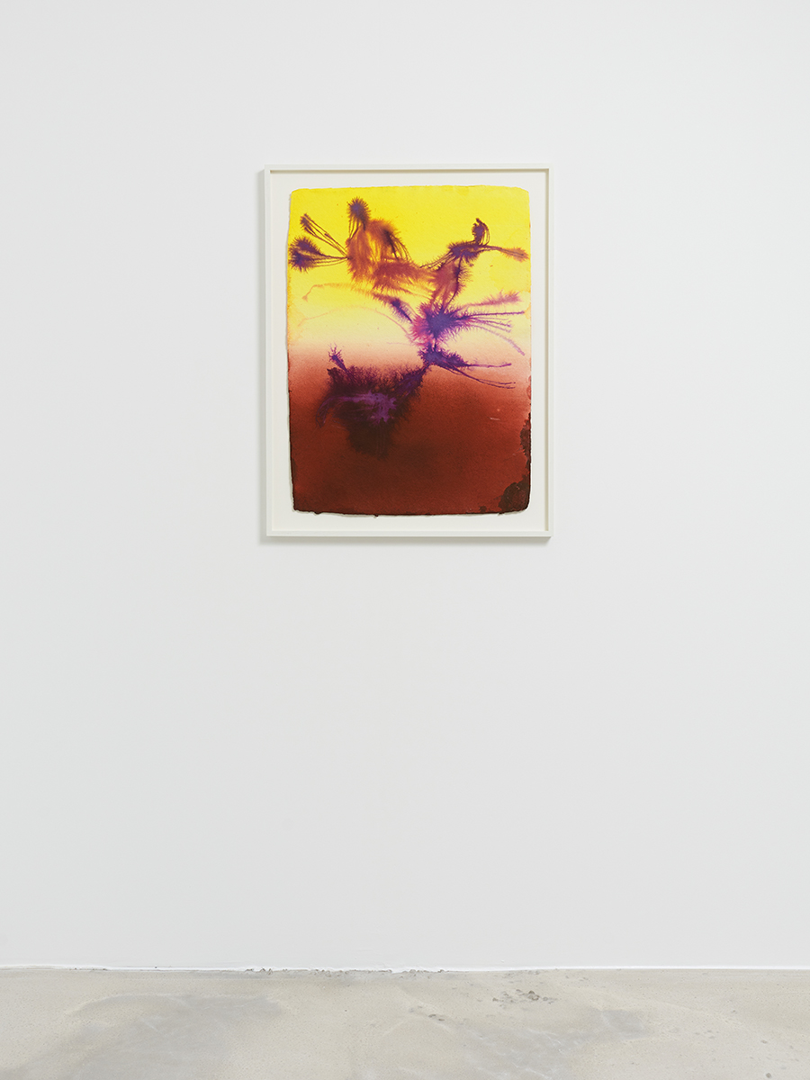 22_DR_Certain circumstance Selected Flowers_Panis_©FredMargueron_2024_ctx_web