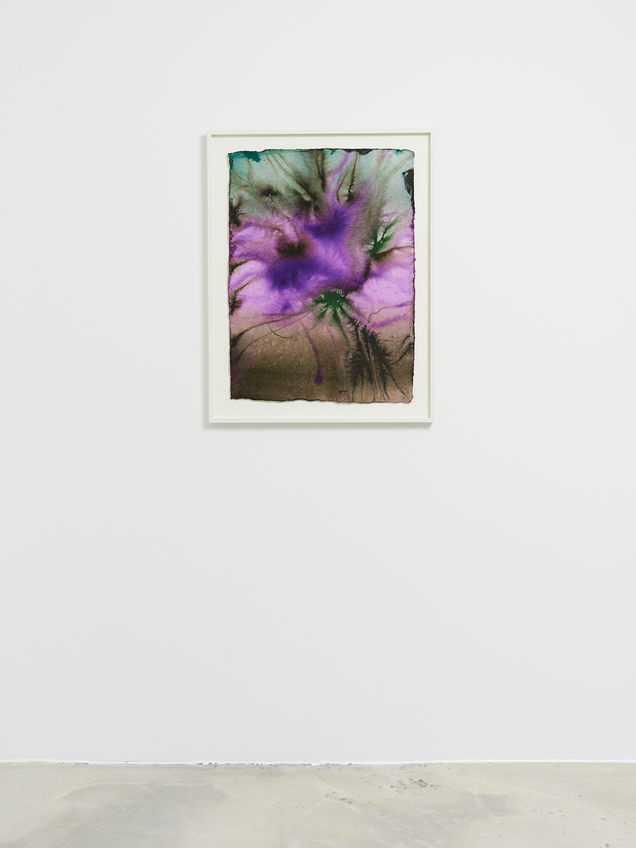 25_DR_Certain circumstance Selected Flowers_Panis_©FredMargueron_2024_ct_web
