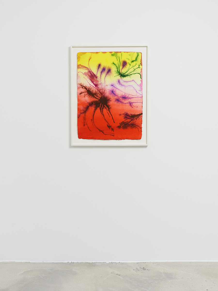 33_DR_Certain circumstance Selected Flowers_Panis_©FredMargueron_2024_ct_web