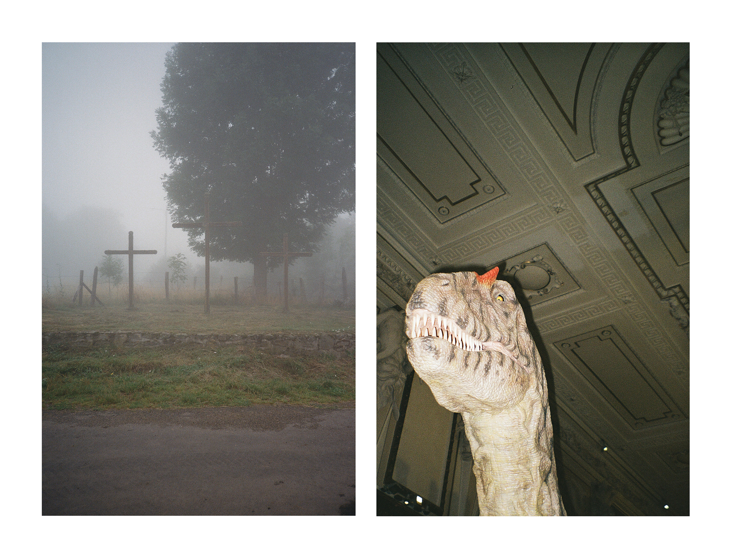 05_©Claire de Foucauld_Art Rotterdam 2025_Panis_40x52,5 cm_300dpi_rgb_WEB_small