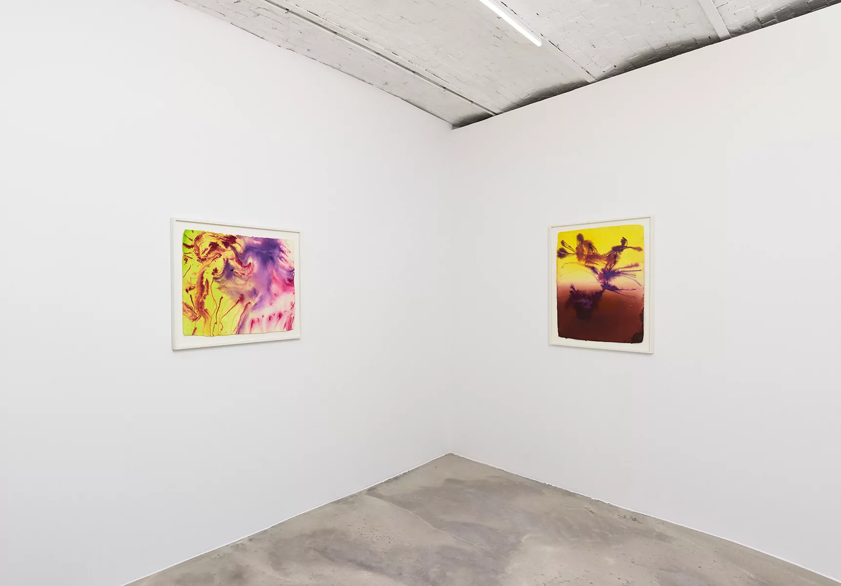 19_DR_Certain circumstance Selected Flowers_Panis_©FredMargueron_2024_ctx_web