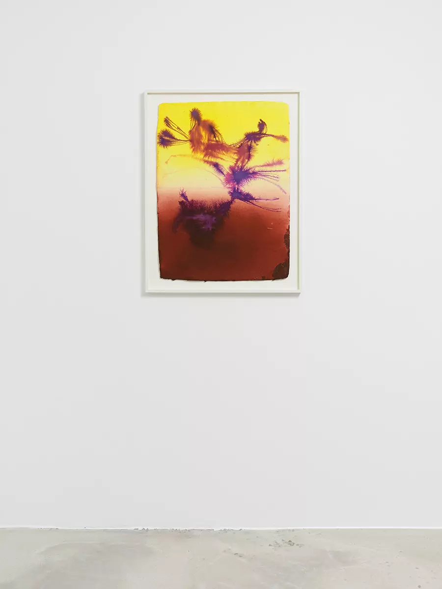 22_DR_Certain circumstance Selected Flowers_Panis_©FredMargueron_2024_ctx_web
