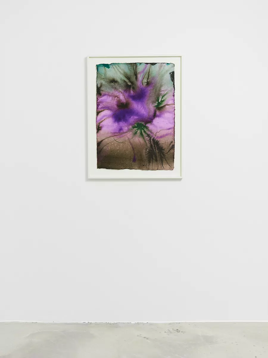 25_DR_Certain circumstance Selected Flowers_Panis_©FredMargueron_2024_ct_web